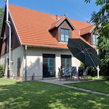 Ferienhaus Hase Βίλα Burg  Εξωτερικό φωτογραφία