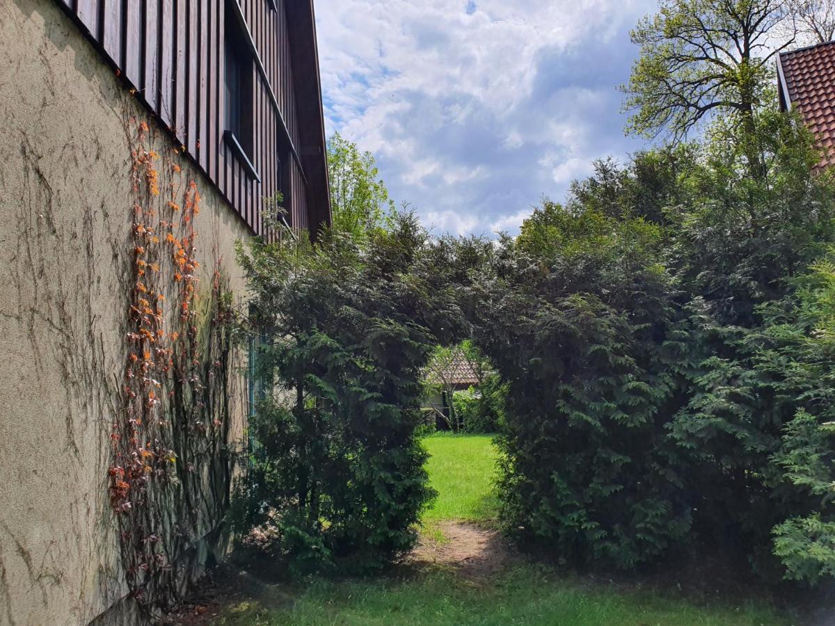 Ferienhaus Hase Βίλα Burg  Εξωτερικό φωτογραφία